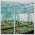 Shade Net House