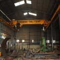 Single Girder Top Running Crane, For Industrial, Load Capacity: 1-5 ton