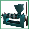 Single Screw Commercial Oil Expeller Machine