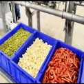 Stainless Steel Automatic Frozen French Fries Plant, For Commercial, Capacity: 100