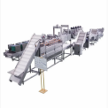 Stainless Steel Automatic Potato Chips Making Machine, Capacity(Kg/Hr): 100
