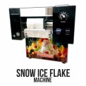 Stainless Steel Ice Making Machine
