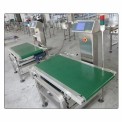Stainless Steel Knife Edge Belt Conveyor, 2.5