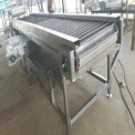 Stainless Steel Mango Fruit Grading and Inspection Line
