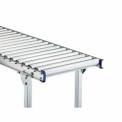 Stainless Steel Roller Conveyor