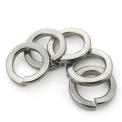 Stainless Steel SS Spring Washer