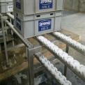 Steel Natural Wholes Stretchable Roller Conveyor, Capacity: 50-100 kg per feet