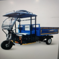 Swastik Light Duty E Rickshaw Loader, 600 Kg