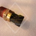 Temperature Sensor - 4327024