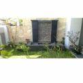 Terrace Landscape Gardening