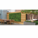 Terrace Landscape Gardening