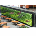 Terrace Landscape Gardening