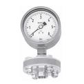 Threaded Diaphragm Seal with Pressure Gauge