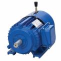 Three Phase Electric Brake Motor