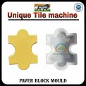 TORTOISE SILICON PLASIC MOULD