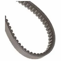 Variable Speed Belt