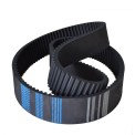 Vassanti Black Back Rubber Belts