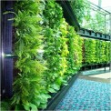 Vertical Garden