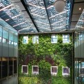 Vertical Gardening Services