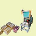 Web Sealer Shrink Machine