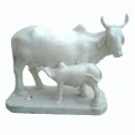 White Marble Kamdhenu Cow Calf Statue