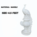 White Marble Peacock Sculpture, 4.5 Feet