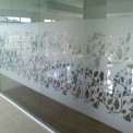 Window Glass Film