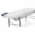 Wire Mesh Conveyor, Material Handling Capacity: 50-100 kg per feet