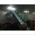 Z Type Conveyor System, Capacity: 100 To 150 (kg/Feet)